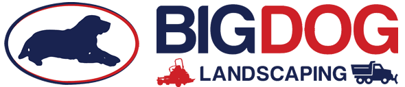 https://bigdoglandscapingllc.com/wp-content/uploads/2020/01/cropped-big-dog-landscaping-logo-horizontal.png