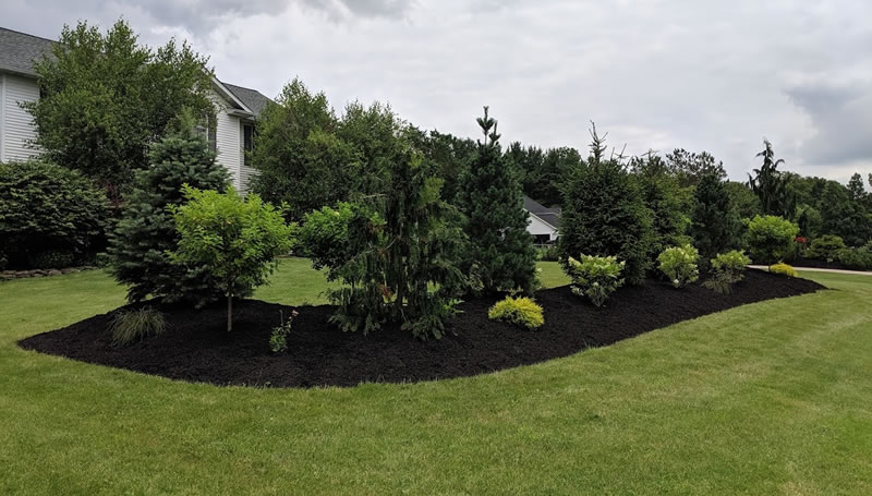 Tree, Hedge, and Shrub Planting