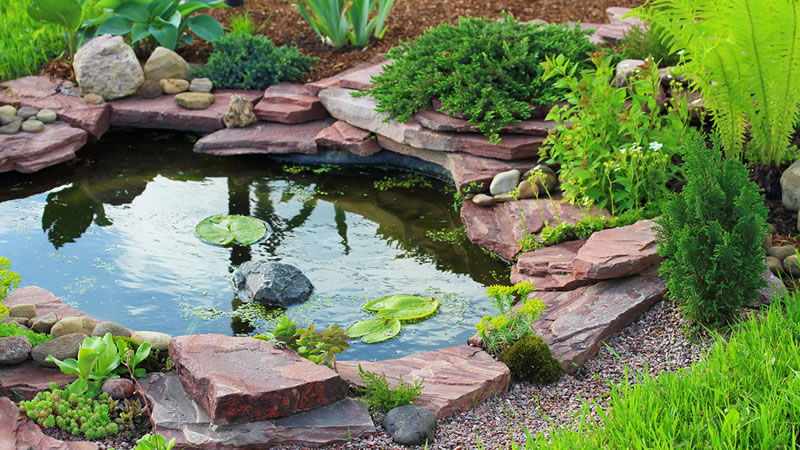 Water Feature Construction